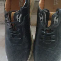 کفش اسپرت نو چرم|کیف، کفش، کمربند|گنبد کاووس, |دیوار