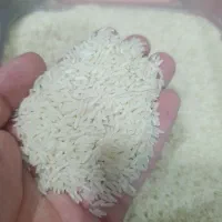 فروش برنج هاشمی