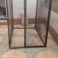 کبوتر تور|لوازم جانبی حیوانات|تاکستان, |دیوار