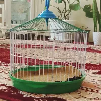 قفس پرنده عروس هلندی