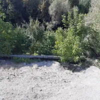 فروش باغ میوه باغبهادران روستای پرکستان|فروش زمین و ملک کلنگی|باغ بهادران, |دیوار