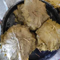 استخدام کارگر خانم