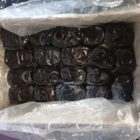 خرما