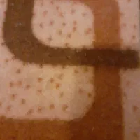 موکت ۱۵ متری و کناره ۴ متری