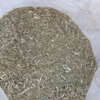 خار نرم|لوازم جانبی حیوانات|رضویه, |دیوار