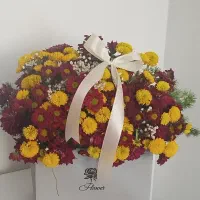 باکس گل