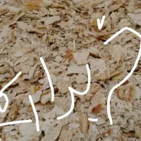 نان خشک کارتن اهن لاک و غیره