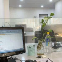 رساله و انجام مقاله دندانپزشکی و میکروبیولوژی برتر