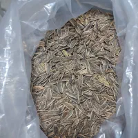 تخمه آفتابگردان نمکی