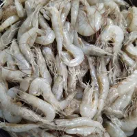 میگو|خوردنی و آشامیدنی|سعدآباد, |دیوار