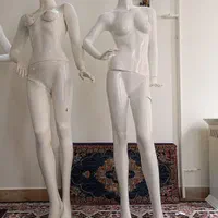 مانکن|فروشگاه و مغازه|تهران, هاشم‌آباد|دیوار