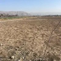 9000-متر-زمین-مجوز-رسمی-ساخت-گاوداری-گوشتی375-راس
