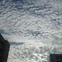 رهن واجاره مغازه ۱۱۰ متری