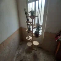 استند گل