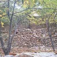 باغ رویه بال وسط شهر اردکان منطقه بکر|فروش دفتر صنعتی، کشاورزی، تجاری|سپیدان, |دیوار