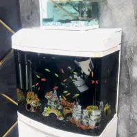 3تا آکواریوم با لوازم کامل