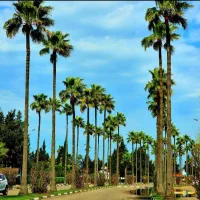 رزرو-ویلا-نوساز-نزدیک-ساحل-درشهرک-دریاکنار-vip