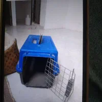 باکس  تشک  نو برای حیوانات حانگی