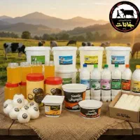 ((همکار خانم در شرکت لبنیاتی نیازمندیم حتی اتباع))