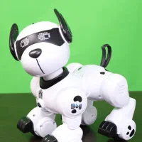 ربات|اسباببازی|تهران, پردیسان|دیوار