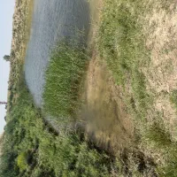 باغ ده هکتار با سند شش دنگ