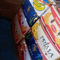 خرما پیارم|حراج|بندرعباس, |دیوار