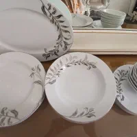 ظروف چینی