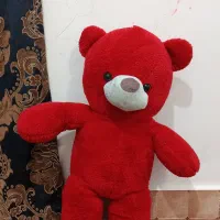 عروسک خرسی نو|اسباب‌بازی بچه|زاهدان, |دیوار