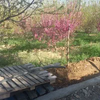 نظافت انجام میدم