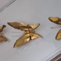 پروانه برنز