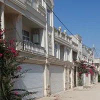 ملک کارگاهی / میدان شهدای زن / بلوار دشتی