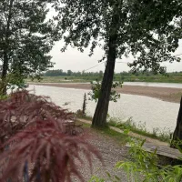 440 متری/چندقدمی سفیدرود/ویلا نشین/لشت نشا/لیچاه