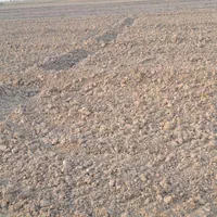 فروش ۲ هکتار مسیر گنبوعه روستایه دهلیز ۲|فروش دفتر صنعتی، کشاورزی، تجاری|حمیدیه, |دیوار
