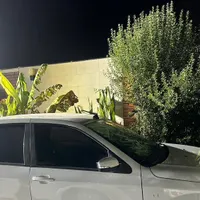 دنا معمولی تیپ ۲، مدل ۱۳۹۷