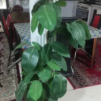 درختچه و گل فومی|گل مصنوعی|بیرجند, |دیوار