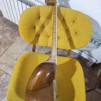 تار . ساز|سازهای سنتی|تهران, سنائی|دیوار