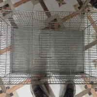 دو عدد قفص سالم نو دانه ای یک ملیون|لوازم جانبی حیوانات|جونقان, |دیوار