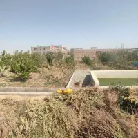 زمین باغی|فروش دفتر صنعتی، کشاورزی، تجاری|رباط‌کریم, ده‌حسن|دیوار