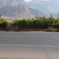 باغ مثمر گردو