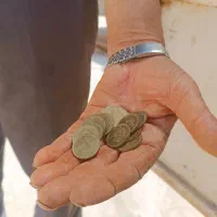 سکه 10تومنی سال 1384