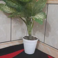 خانه ۱۲۰متری