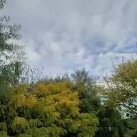 اجاره کارگاه صنعتی برق ۳فاز