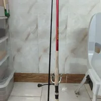 چوب و چرخ اسپین آلبا استار