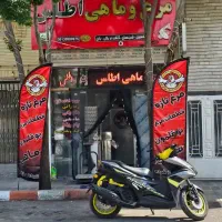 کتف وبال شینسل ران مرغ ماهی|خوردنی و آشامیدنی|اصفهان, تخت فولاد|دیوار