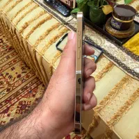Iphone 12 pro max gold 256Gb ZAA شرکتی|موبایل|تهران, محمودیه|دیوار