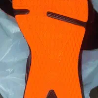 کتونی سالامون|کیف، کفش، کمربند|رشت, فلسطین|دیوار