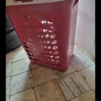 سبدردارنو