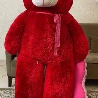 خرس 2 متری نو