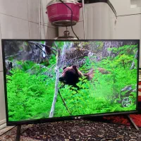 تلویزیون ال ای دی ۳۲اینچ بلست|تلویزیون و پروژکتور|مشهد, کشاورز|دیوار