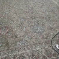چن عدد فرش ۱۲و۹و۶ وگلیم فرش ۱۲متری|فرش|کرمانشاه, |دیوار